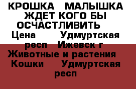 КРОШКА - МАЛЫШКА ЖДЕТ КОГО БЫ ОСЧАСТЛИВИТЬ.  › Цена ­ 1 - Удмуртская респ., Ижевск г. Животные и растения » Кошки   . Удмуртская респ.